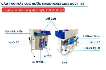 cau tao cdis dg01 s6